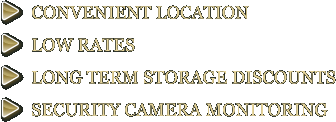 LOW RATES LONG TERM STORAGE DISCOUNTS SECURITY CAMERA MONITORING CONVENIENT LOCATION